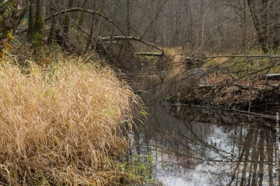 Серебряные ключи - 3.jpg